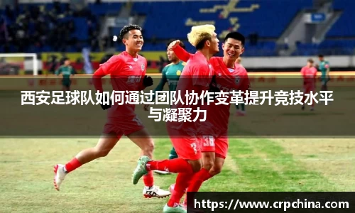 西安足球队如何通过团队协作变革提升竞技水平与凝聚力